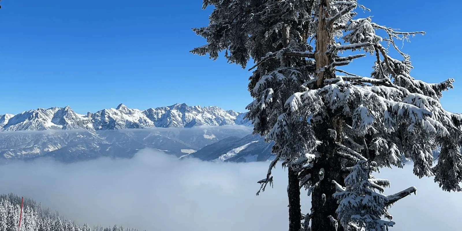 Last minute wintersport: waarom wachten?