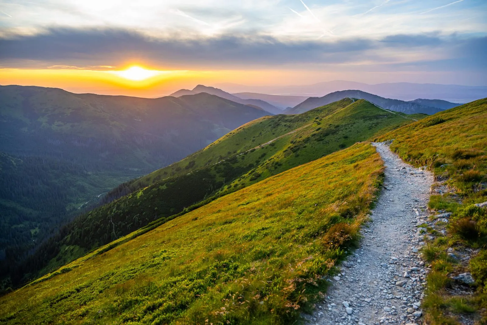 Zomerpret in de Alpen: de leukste bergbestemmingen voor gezinnen